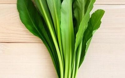 Culantro: The Cilantro That Doesn’t Quit