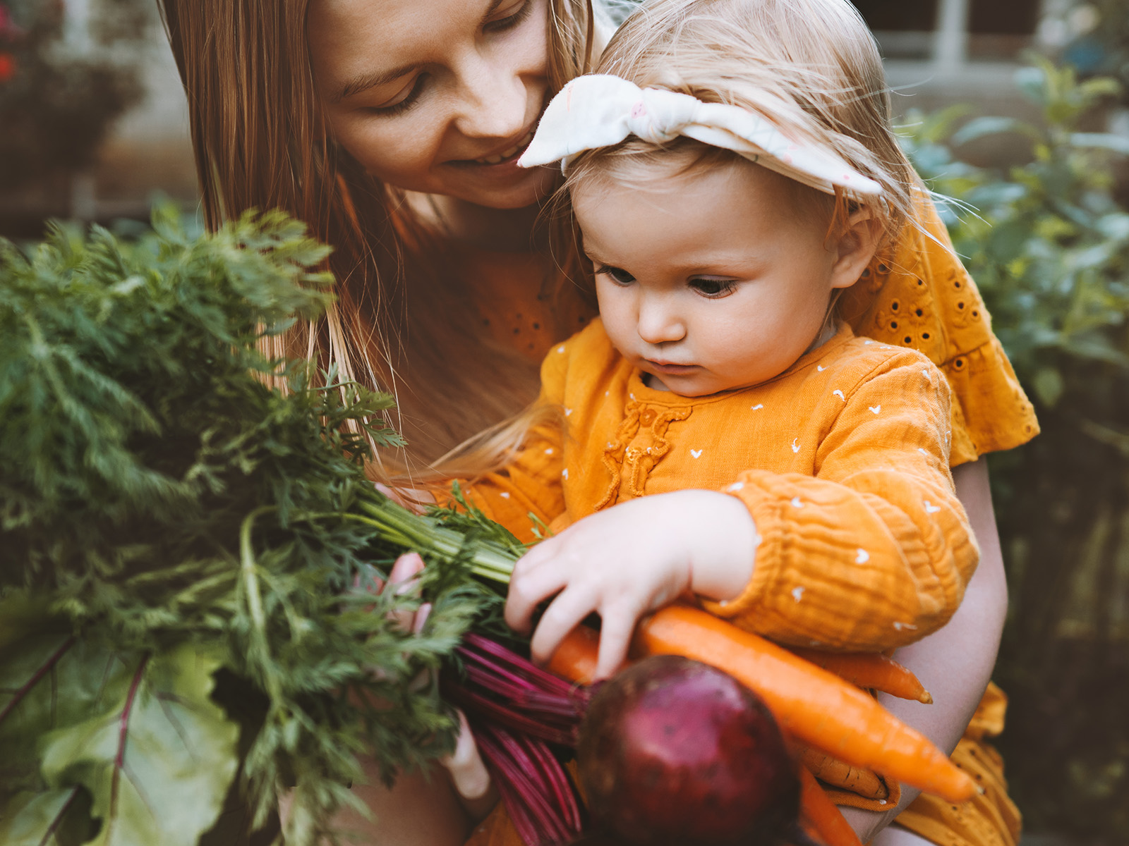 urban-abundance-your-vegetables urban abundance your vegetables