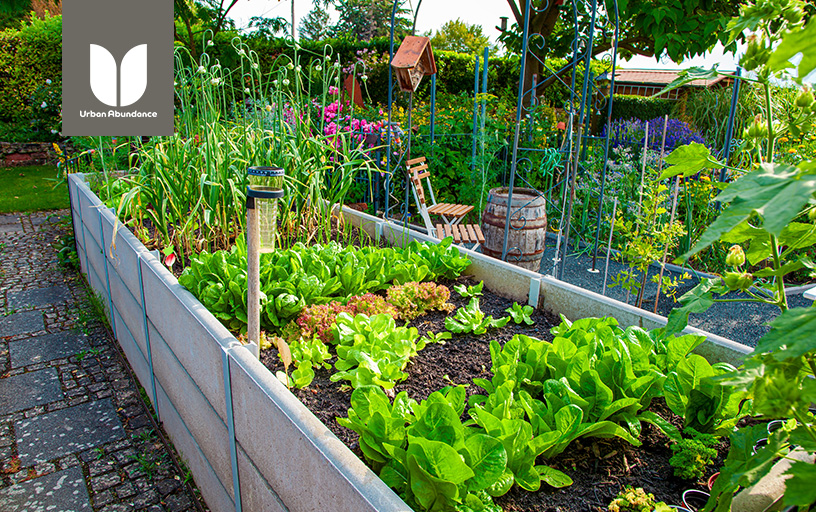 Why Year-Round Gardening is Florida’s Best-Kept Secret